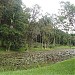 Jardim Botânico de São Paulo - Instituto de Botânica