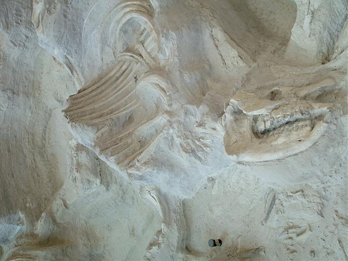 Ashfall Fossil Beds State Historical Park