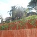 Fazenda Anastácio (pt) in São Paulo city