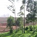 Cemitério Pirituba (em Construção) (pt) in São Paulo city