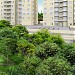 Líber Bosque Pirituba (pt) in São Paulo city