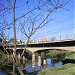 Ponte do Pinga-pinga na Sorocaba city
