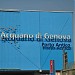 Aquarium of Genoa