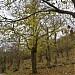 Extinct volcano of Roccamonfina