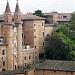 Urbino