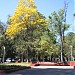 Revolution Park in Greater Guadalajara city