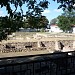 Археологический заповедник «Горгиппия» в городе Анапа