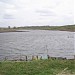 Кукочка в городе Высокополье