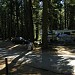 Crane Flat Campground