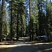 Crane Flat Campground