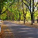 Municipal public garden