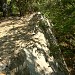 Остатки старого парка усадьбы в городе Севастополь