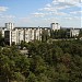 Сосновый бор в городе Киев