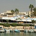 Vassos Fish Taverna in Ayia Napa city