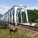 Cầu sông Chùa trong Thành phố Tuy Hòa thành phố
