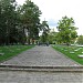 Grave of Soviet soldiers killed in World War II