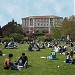 south campus grass area in Istanbul Metropolitan Municipality city