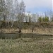 Остров Татышев в городе Красноярск