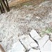 Остатки старинной лестницы в городе Киев