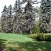 Ustymivka arboretum