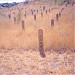 Kamloops Chinese Cemetery