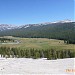 Tuolumne Meadows