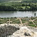 La Roche-Guyon vegetable garden