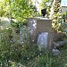 Чешское кладбище в городе Житомир
