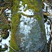 Former German colonists' cemetery in Warsaw city