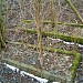 Former German colonists' cemetery in Warsaw city