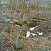 Former German colonists' cemetery in Warsaw city