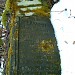 Former German colonists' cemetery in Warsaw city