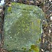 Former German colonists' cemetery in Warsaw city