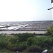 Marakkanam  Salt Pans