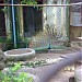 Zoological Garden Kolkata (Alipore Zoo)