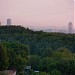 Смотровая площадка в городе Москва