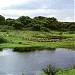 Kasu Brahmananda Reddy National Park