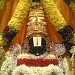 TIRUMALA SRI VENKATESWARA (LORD BALAJI) TEMPLE