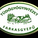 Tüdőgyógyintézet