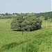 Старичное понижение в высокой пойме реки Протва