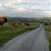 Walna Scar Road Car Park