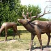 Скульптурная группа «Олени» в городе Каменск-Шахтинский