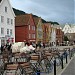 Bryggen, Bergen