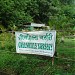 Greenhills Nursery (Plant Nursery Navi Mumbai)