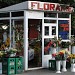 Florarie (ro) in Bucharest city