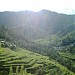 Sela Village;District:Almora;Uttarakhand.