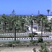حديقة ابن لقمان في ميدنة مصيف جمصه 