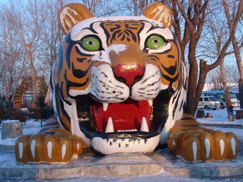 Siberian Tiger Park in Harbin 🇨🇳