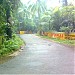 Sadiq vathiyedath in Kodungallur city