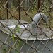 Нефтепровод в городе Краснокамск
